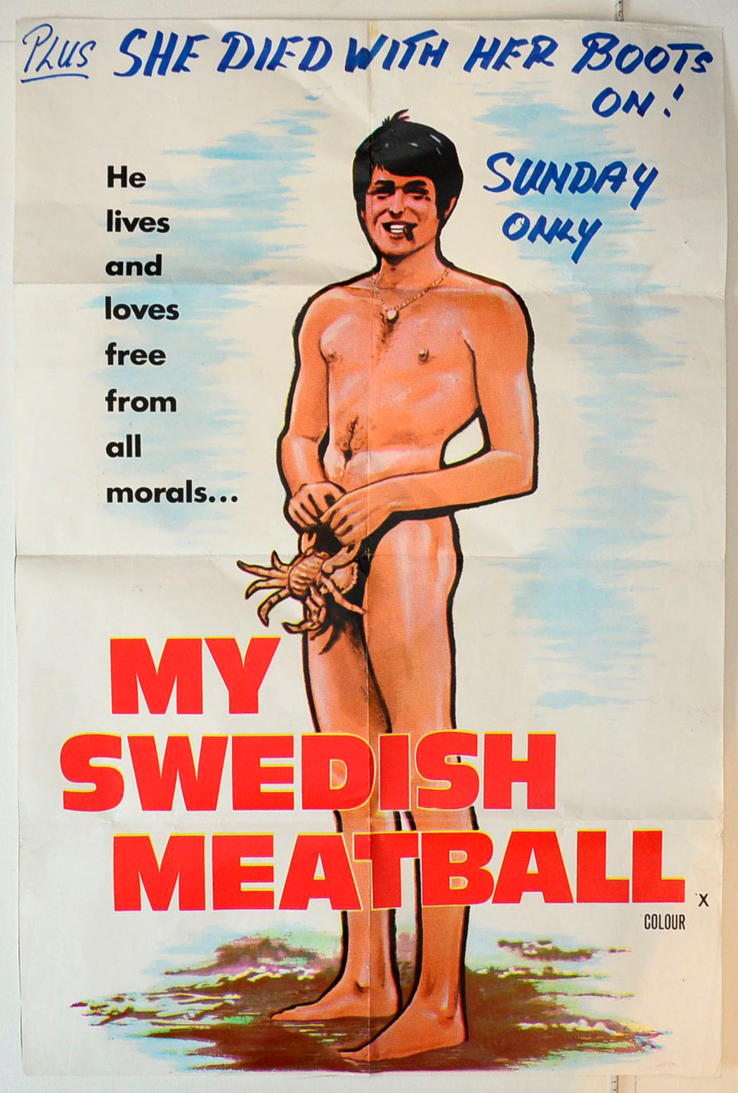 My Swedish Meatball (a.k.a. Spielst Du mit schrägen Vögeln) Original Double Crown Poster - Movie Poster