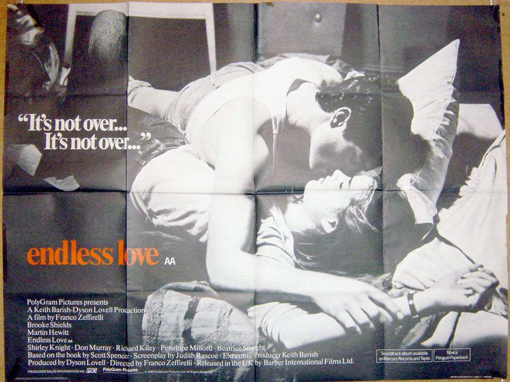 Endless Love Original Quad Movie Poster