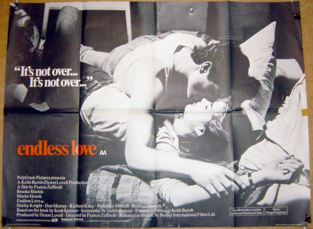 Endless Love Original Quad Movie Poster