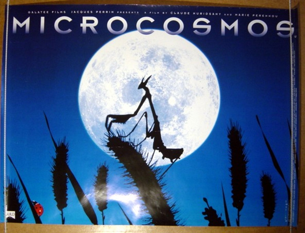 Microcosmos Original Quad Movie Poster