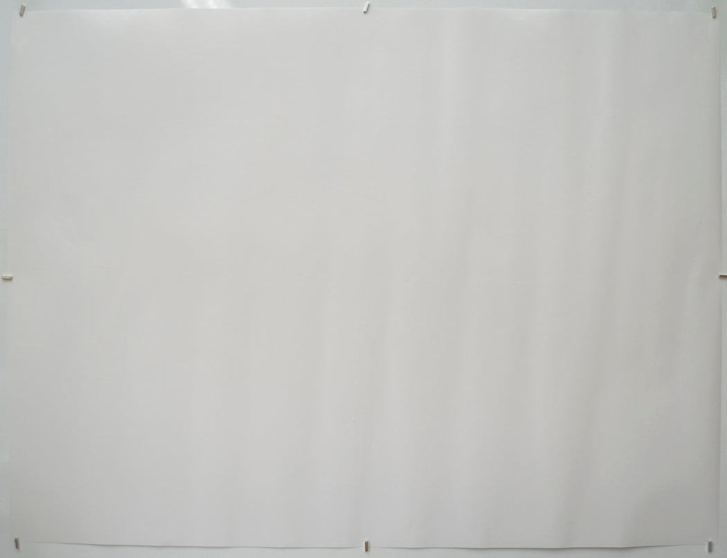 ALL QUIET ON THE WESTERN FRONT (Back) Cinema Quad Movie Poster