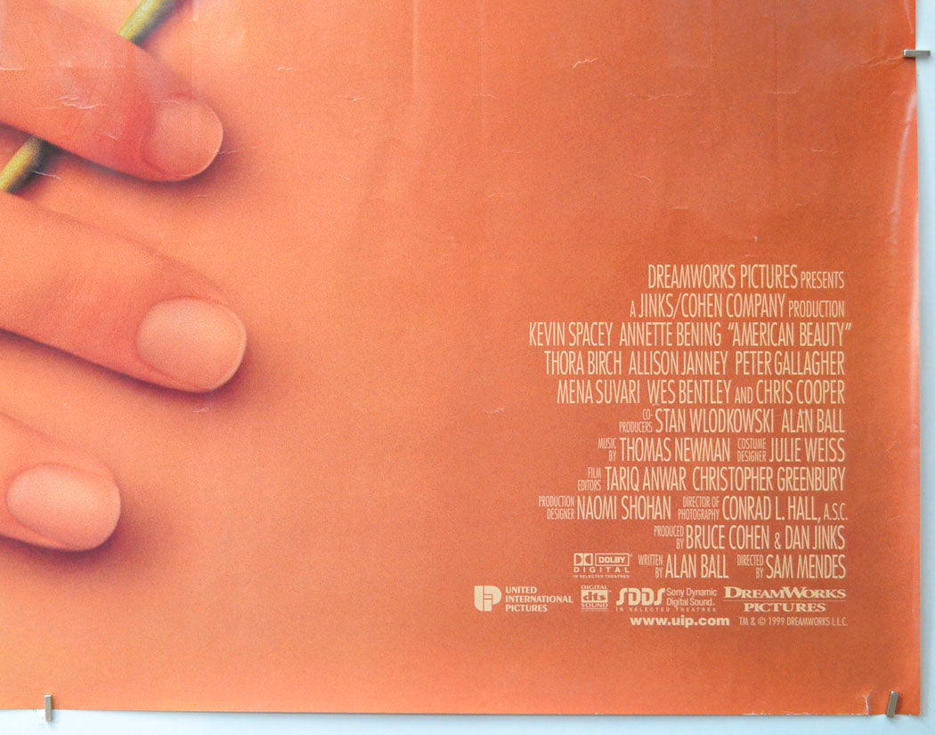 AMERICAN BEAUTY (Bottom Right) Cinema Quad Movie Poster