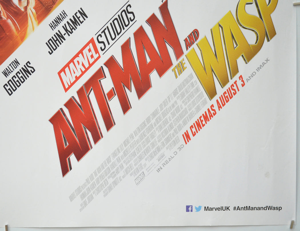 ANT-MAN AND THE WASP (Bottom Right) Cinema Quad Movie Poster