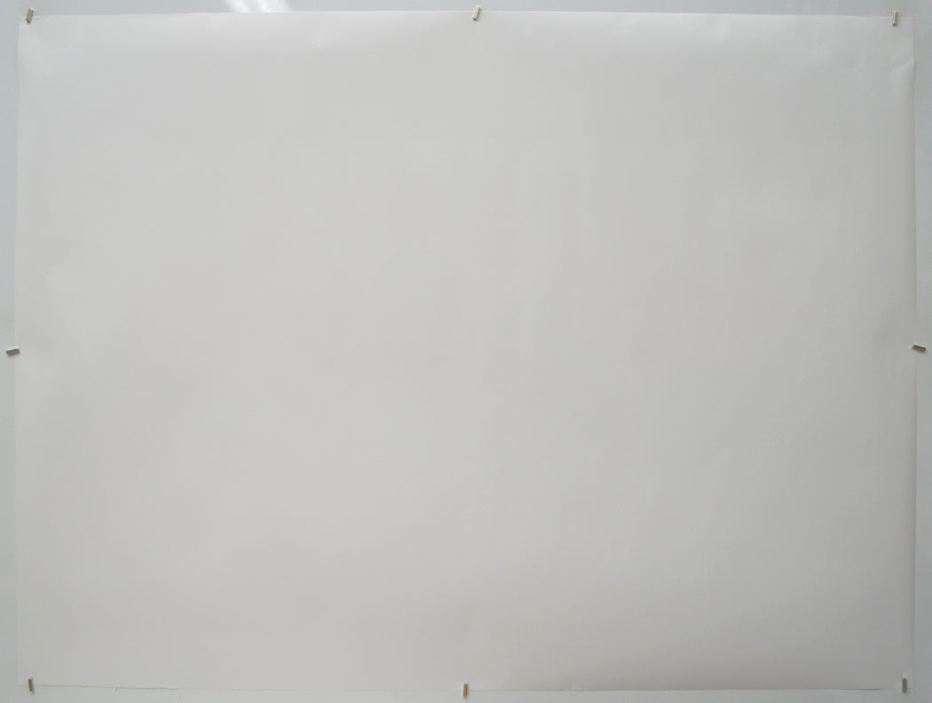 BROTHER (Back) Cinema Quad Movie Poster