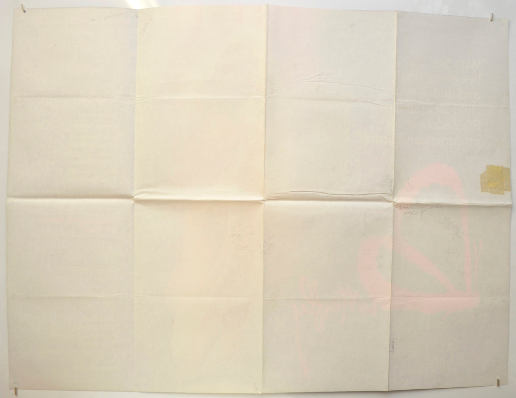 BUTTERFLY (Back) Cinema Quad Movie Poster