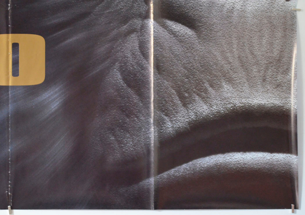 CONGO (Bottom Right) Cinema Quad Movie Poster