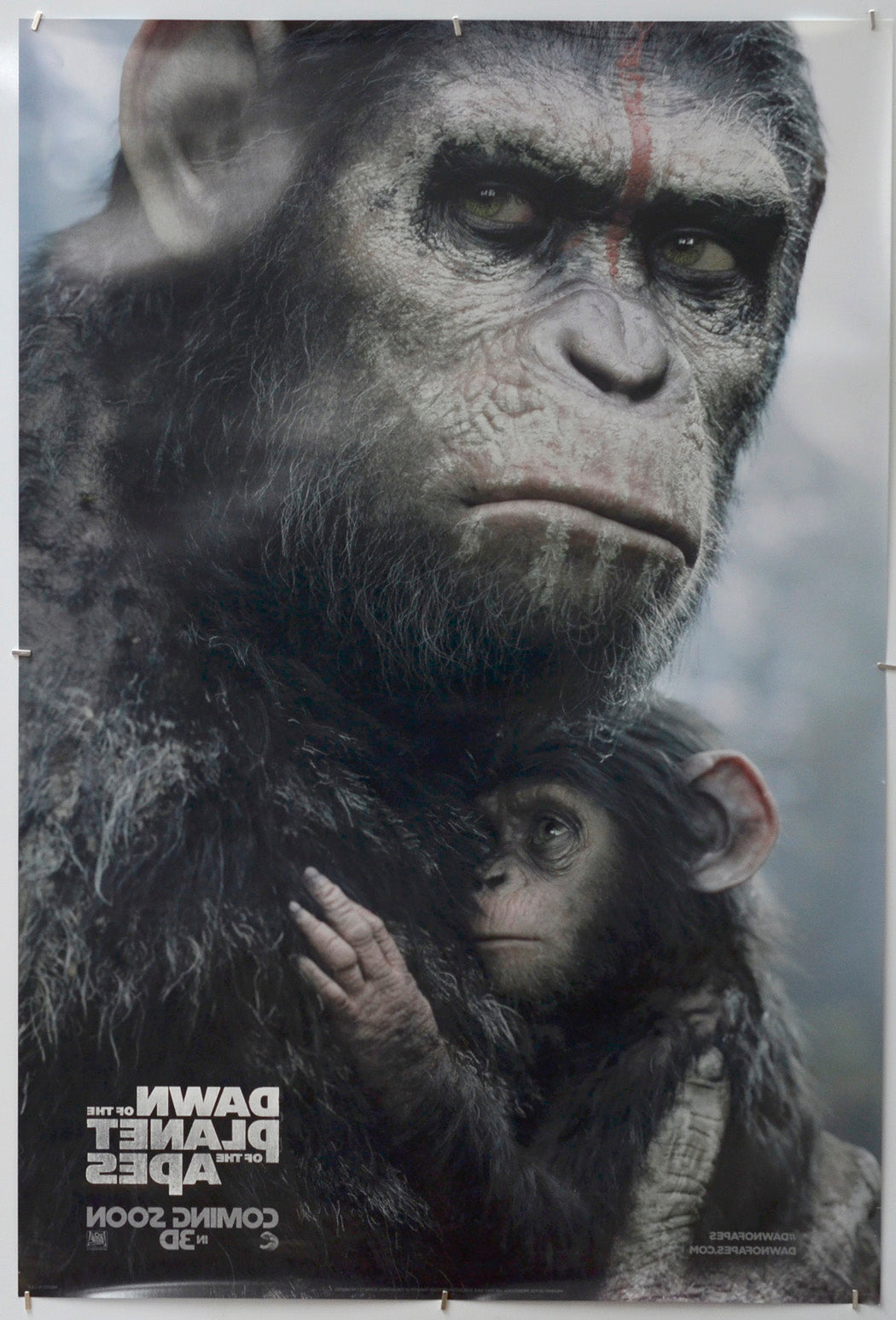 Dawn Of The Planet Of The Apes (Back) Cinema One Sheet Movie Poster