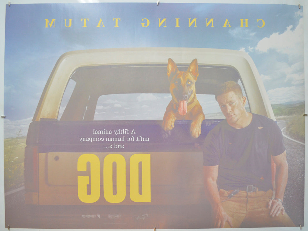 DOG (Bottom Back) Cinema Quad Movie Poster