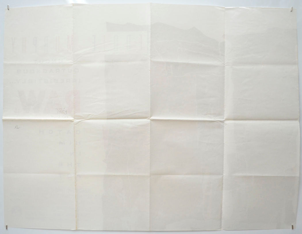 EDDIE MURPHY : RAW (Back) Cinema Quad Movie Poster