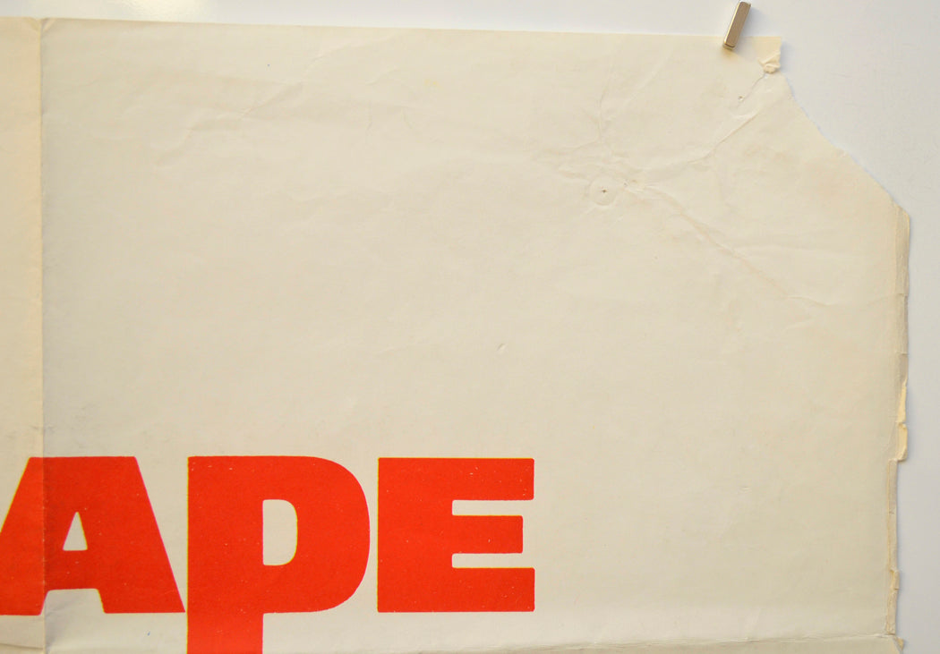 ESCAPE FROM THE PLANET OF THE APES (Tear) Cinema Quad Movie Poster