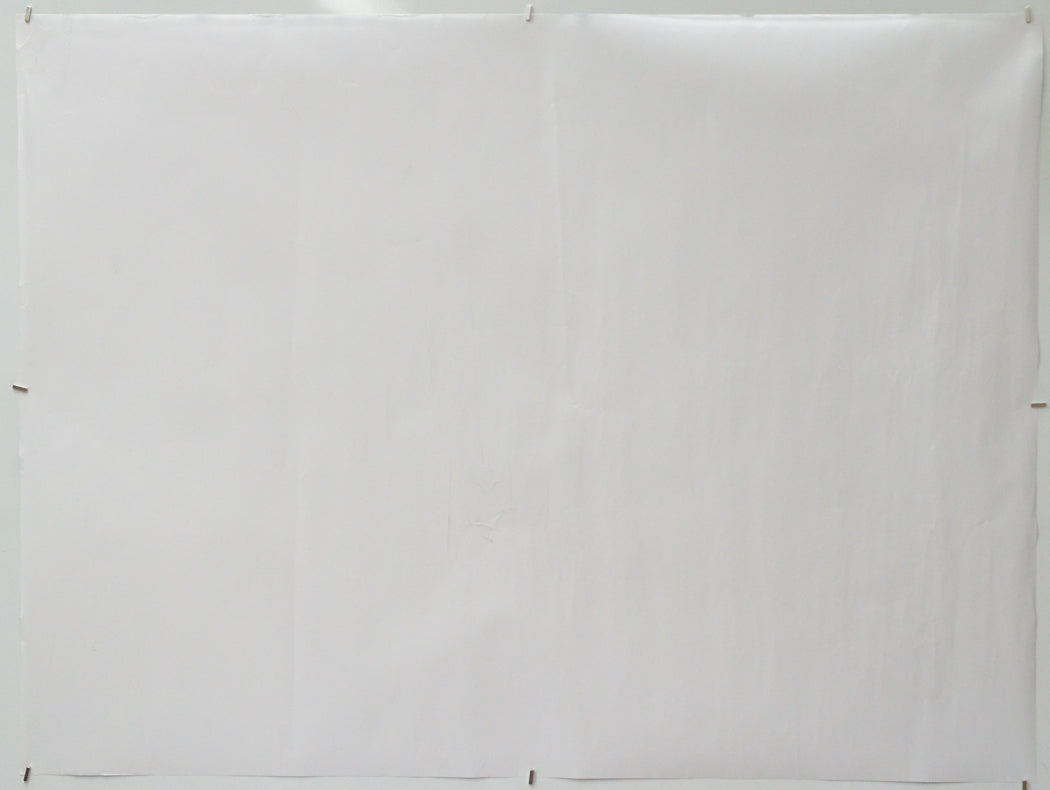 Flow (Back) Cinema Quad Movie Poster