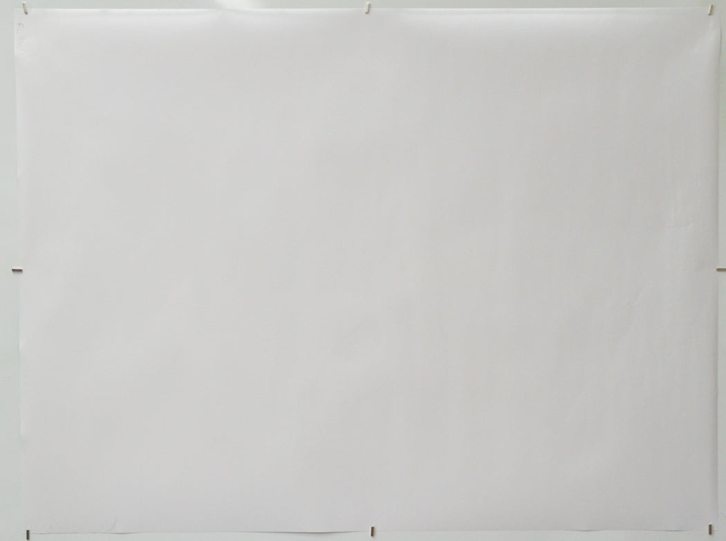 Flow (Back) Cinema Quad Movie Poster