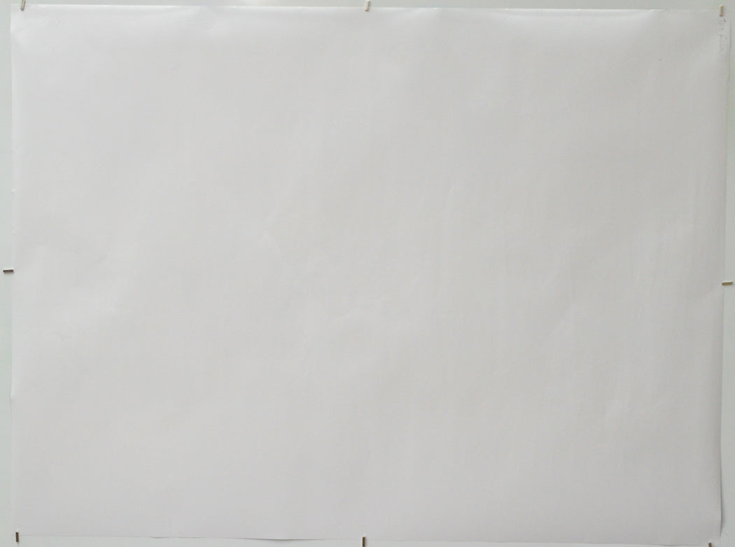 Flow (Back) Cinema Quad Movie Poster