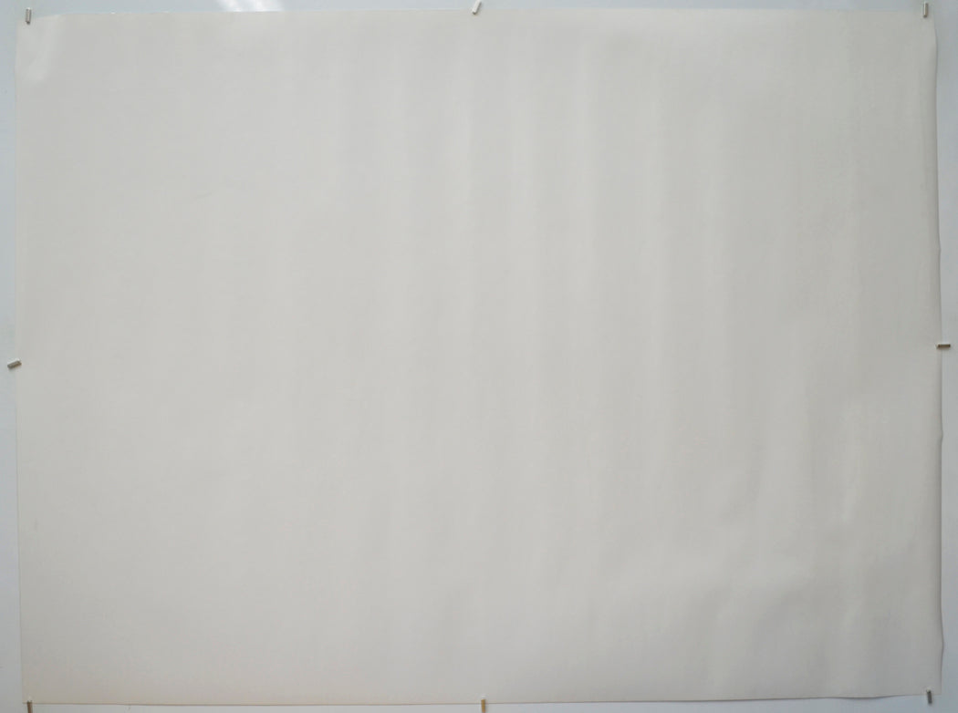 THE GOLDEN COMPASS (Back) Cinema Quad Movie Poster