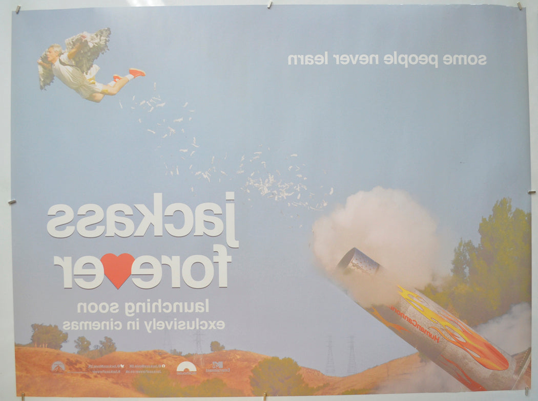 JACKASS FOREVER (Back) Cinema Quad Movie Poster