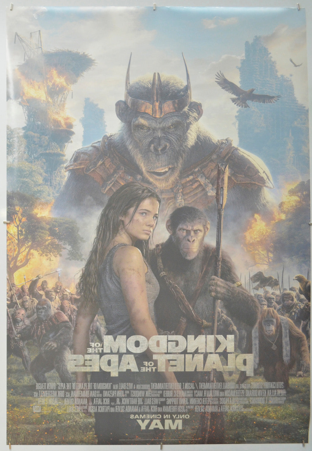 Kingdom Of The Planet Of The Apes (Back) Cinema One Sheet Movie Poster