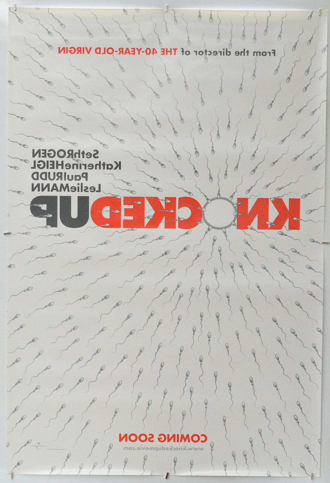 Knocked Up (Back) Cinema One Sheet Movie Poster