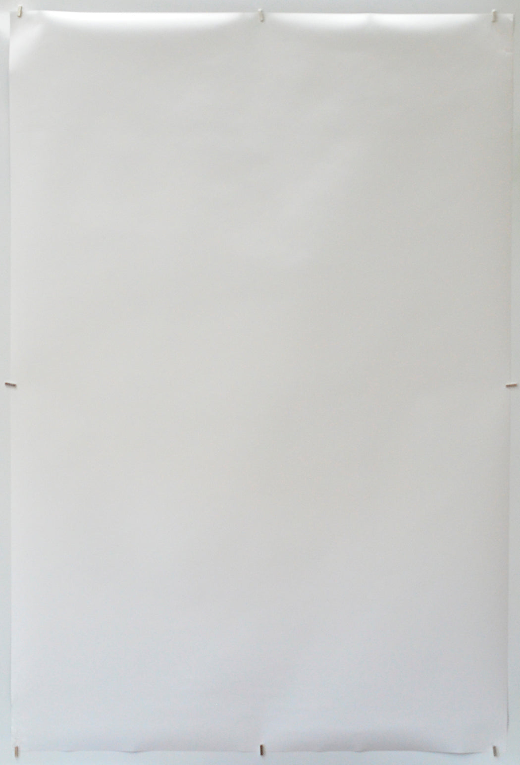 Love Lies Bleeding (Back) Cinema One Sheet Movie Poster