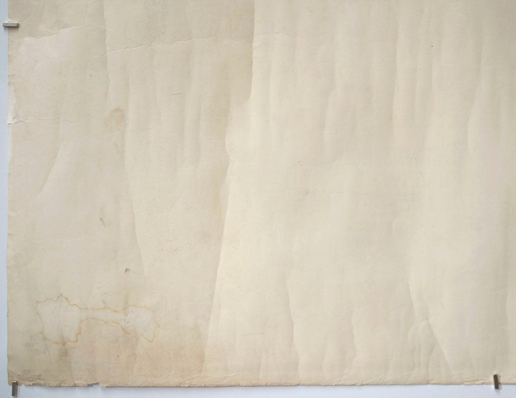 MONSTER OF TERROR - HAUNTED PALACE (Back – Bottom Right) Cinema Quad Movie Poster