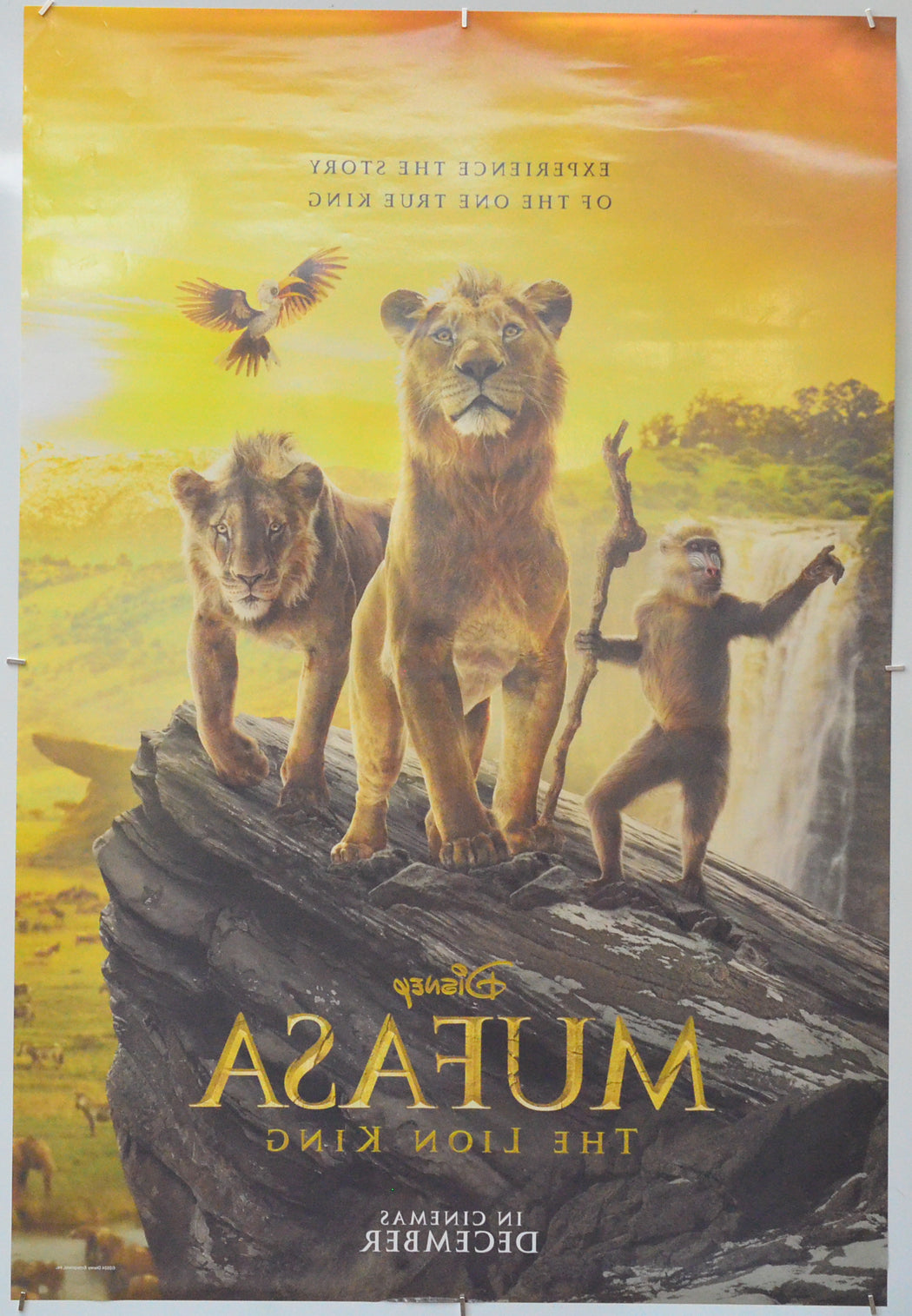 Mufasa: The Lion King (Back) Cinema One Sheet Movie Poster