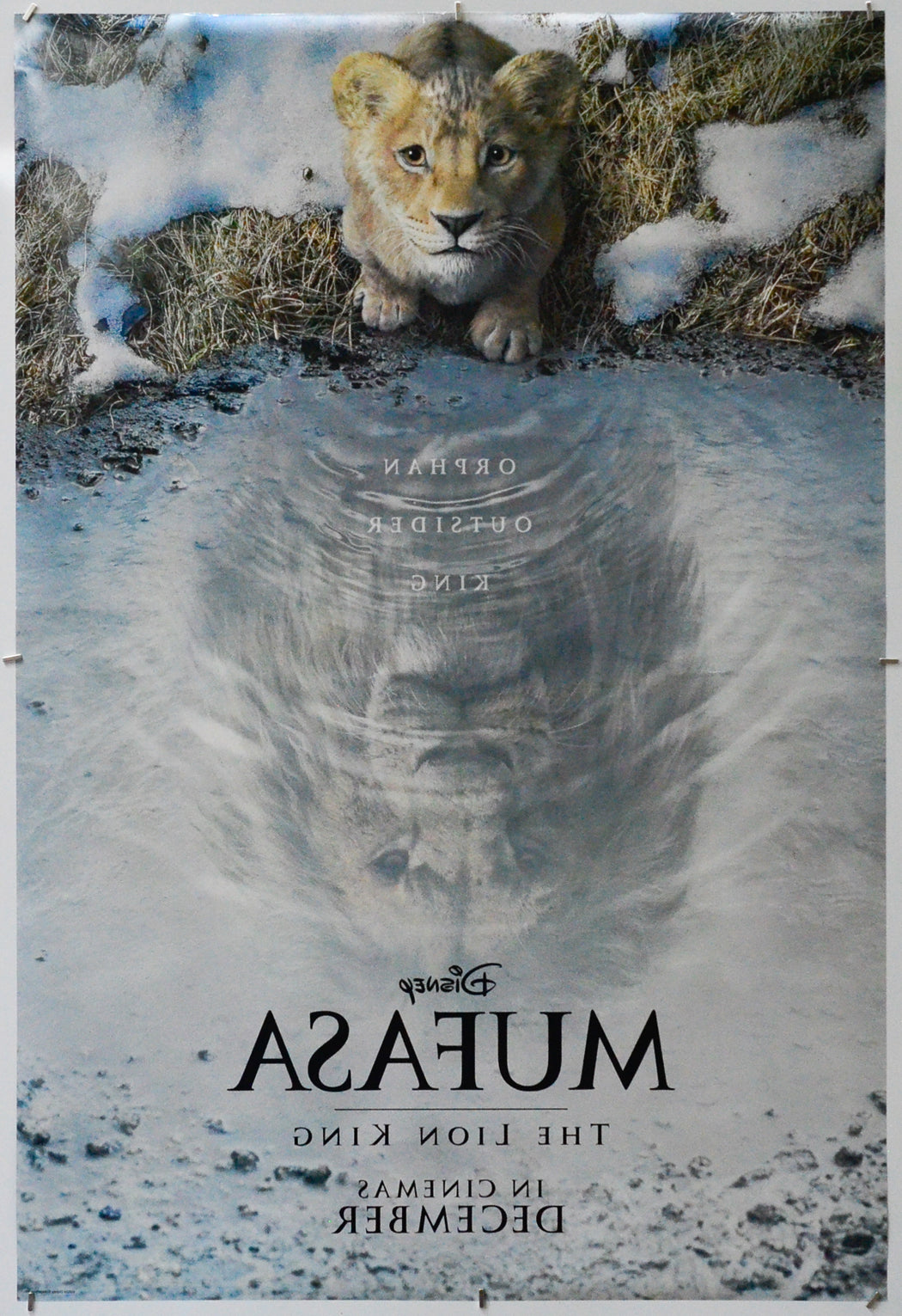 Mufasa: The Lion King (Back) Cinema One Sheet Movie Poster