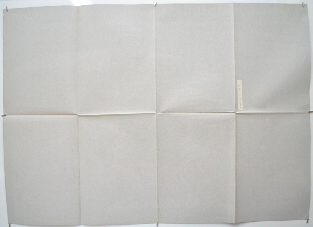 MY CRAZY LIFE (Back) Cinema Quad Movie Poster