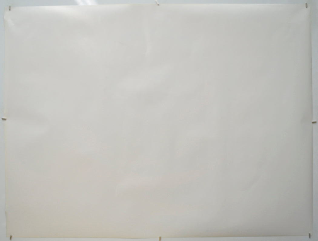 NEVER BEEN KISSED (Back) Cinema Quad Movie Poster