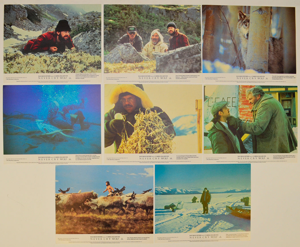 Never Cry Wolf Set of 8 Original Lobby Cards / Colour Front Of House Stills
