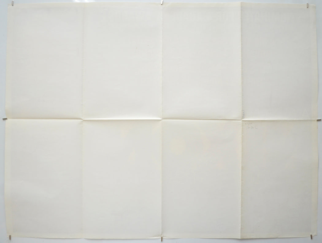 NIXON (Back) Cinema Quad Movie Poster