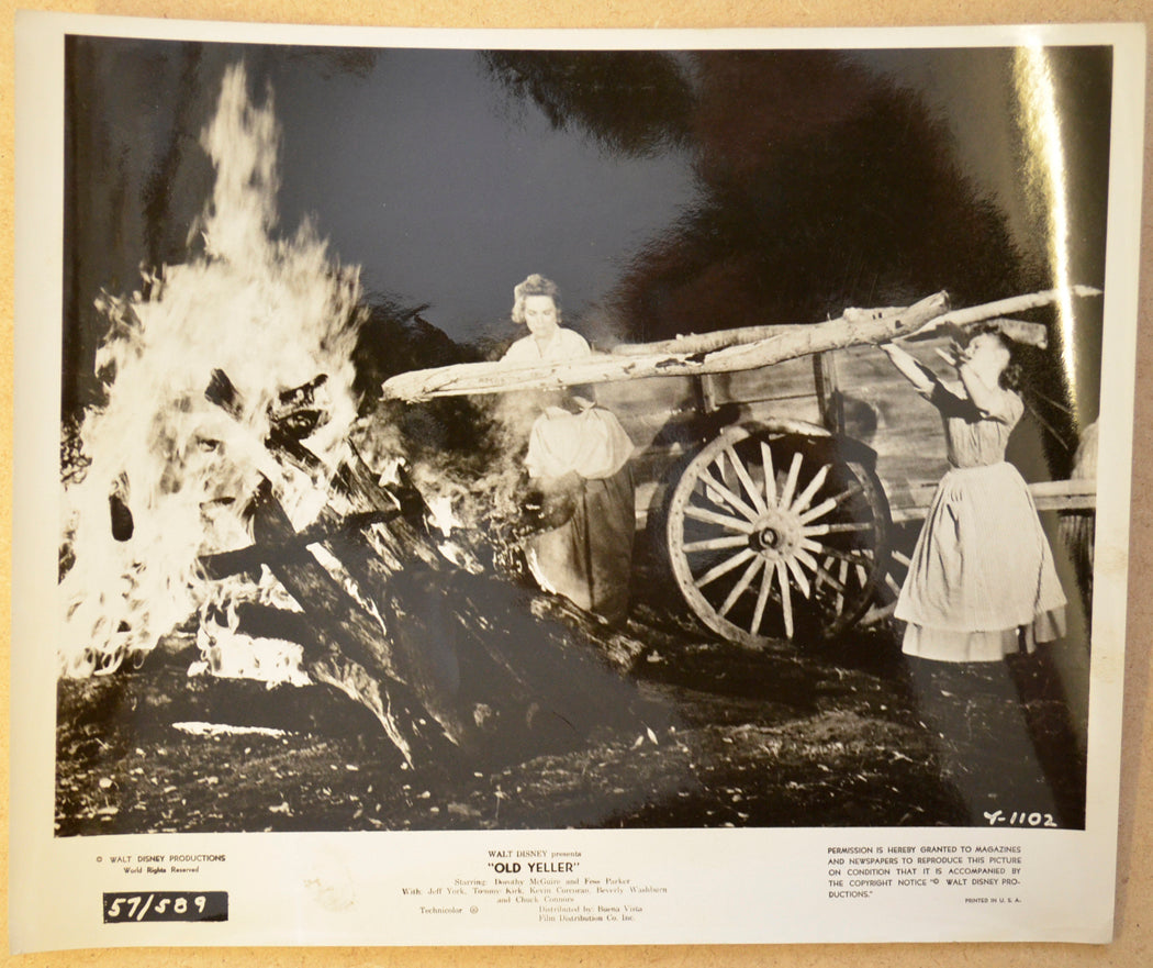 OLD YELLER (Still 8) Cinema Black and White Press Stills