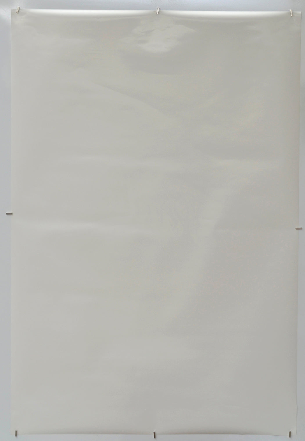 Paulie (Back) Cinema One Sheet Movie Poster