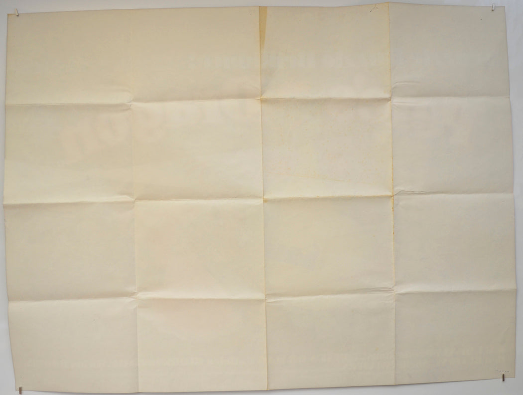 PETE’S DRAGON (Back) Cinema Quad Movie Poster