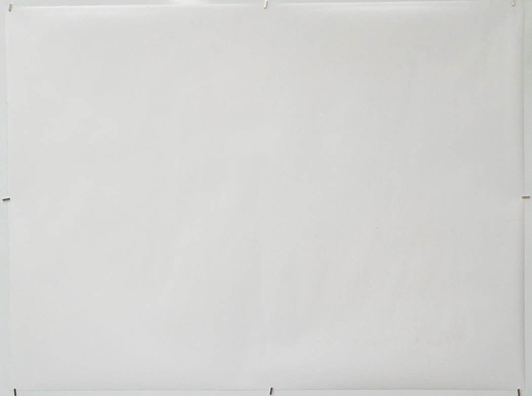 Pets on a Train (Back) Cinema Quad Movie Poster