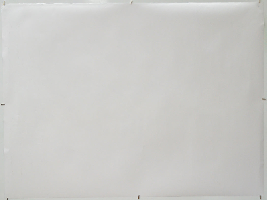 Picnic At Hanging Rock (Back) Cinema Quad Movie Poster