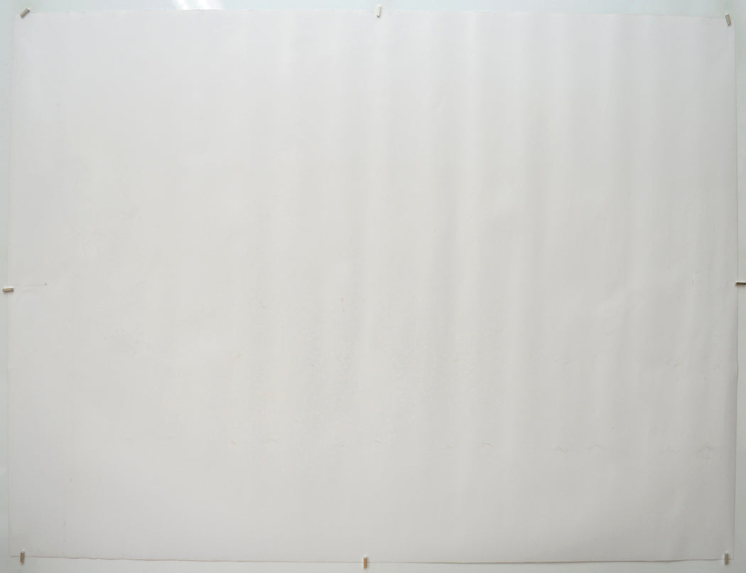 PRISCILLA (Back) Cinema Quad Movie Poster