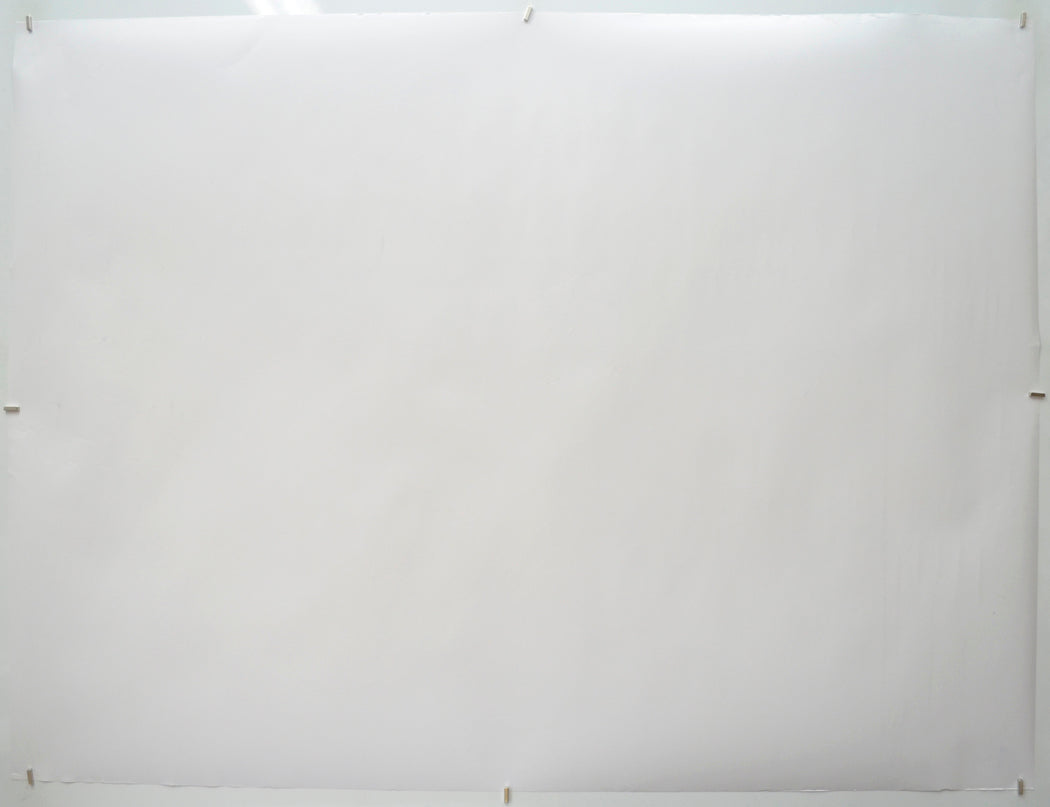 PUFFIN ROCK AND THE NEW FRIENDS (Back) Cinema Quad Movie Poster