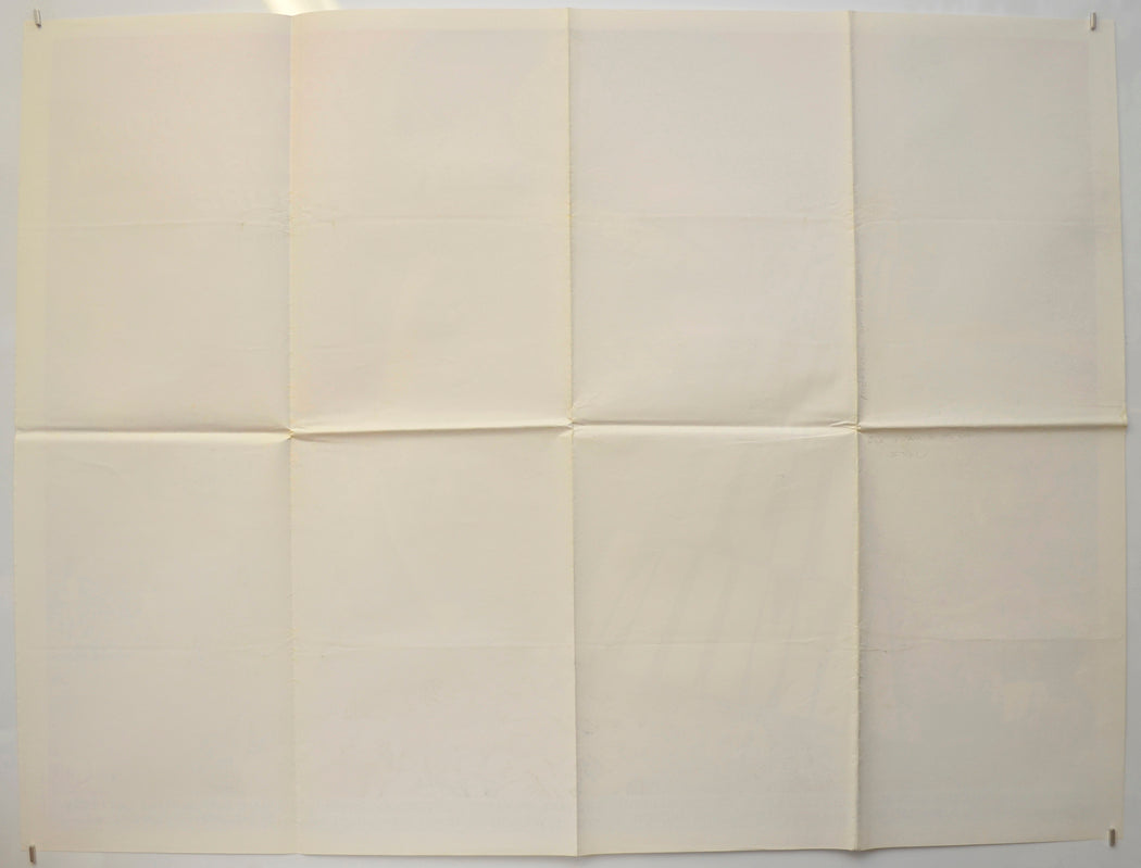 RISE AND FALL OF IDI AMIN (Back) Cinema Quad Movie Poster