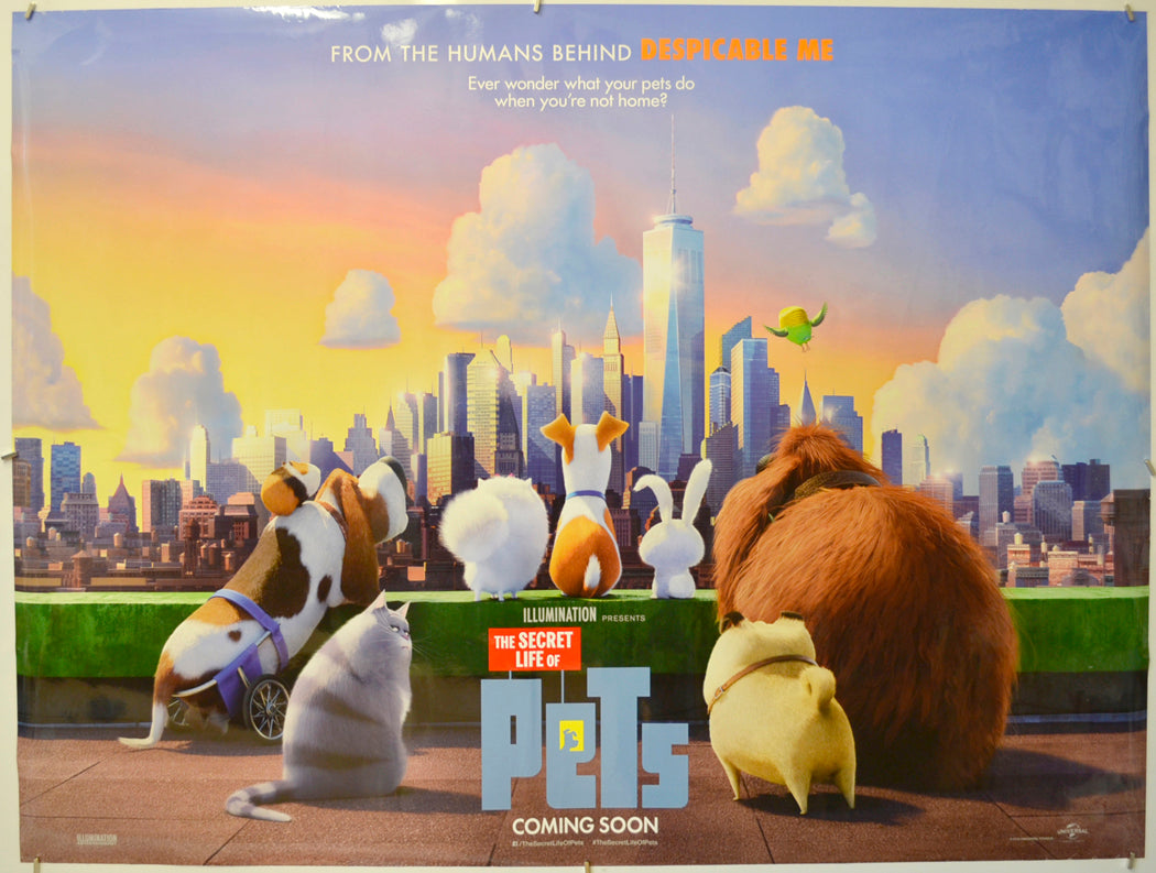 The Secret Life Of Pets (Teaser / Advance Version) Original Quad Poster - Film Poster - Movie Poster