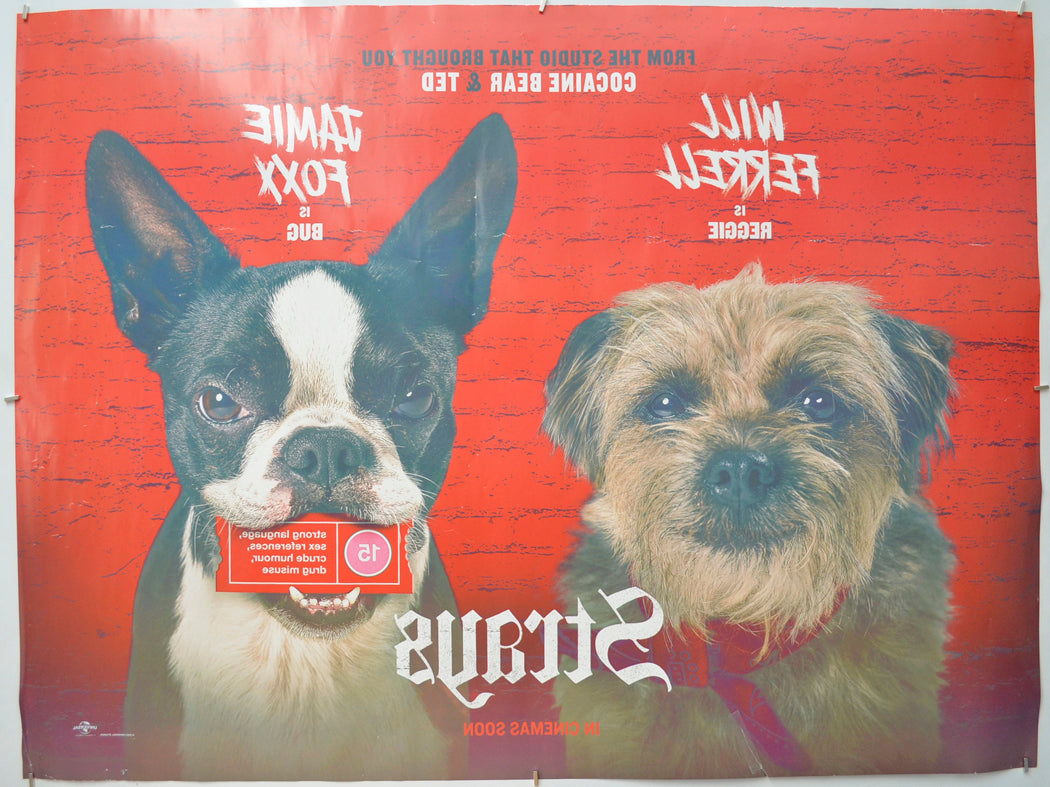 STRAYS (Back) Cinema Quad Movie Poster