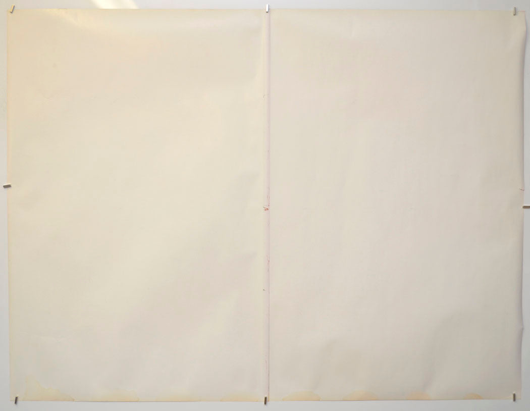 SUPERGIRL (Back) Cinema Quad Movie Poster