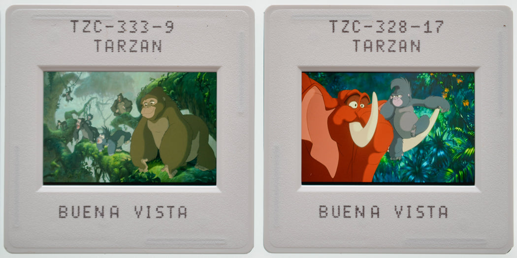 Tarzan (Slides 7 and 8) Original 35mm Slides - Cinema Press Slides