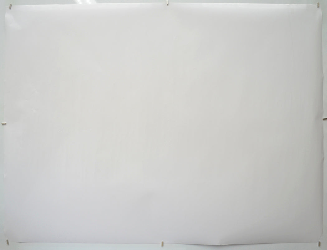 THE TASTE OF THINGS (Back) Cinema Quad Movie Poster