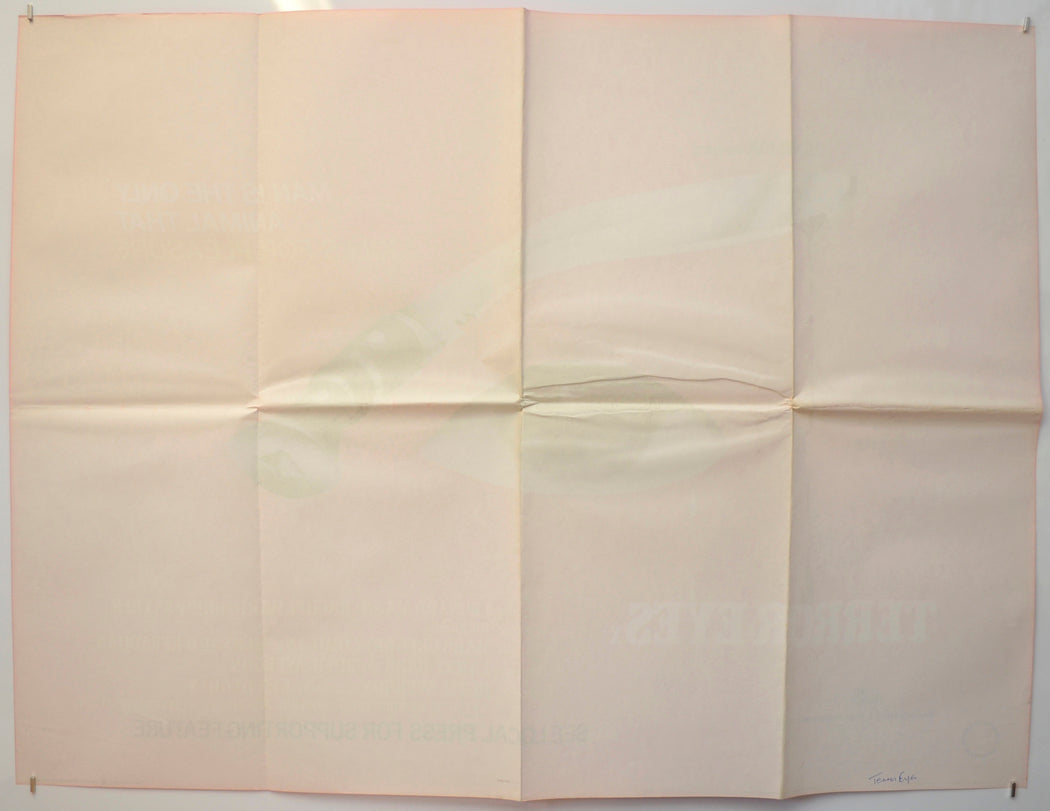 TERROR EYES (Back) Cinema Quad Movie Poster