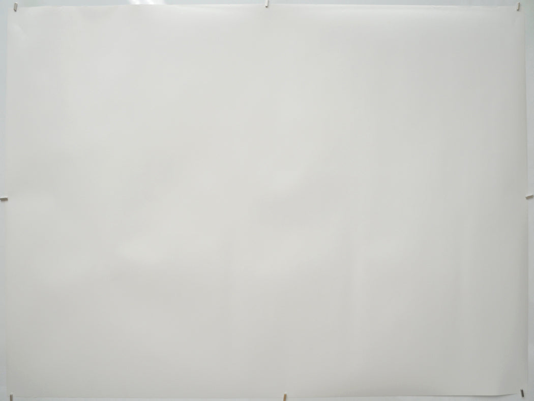 The Favourite (Back) Cinema Quad Movie Poster