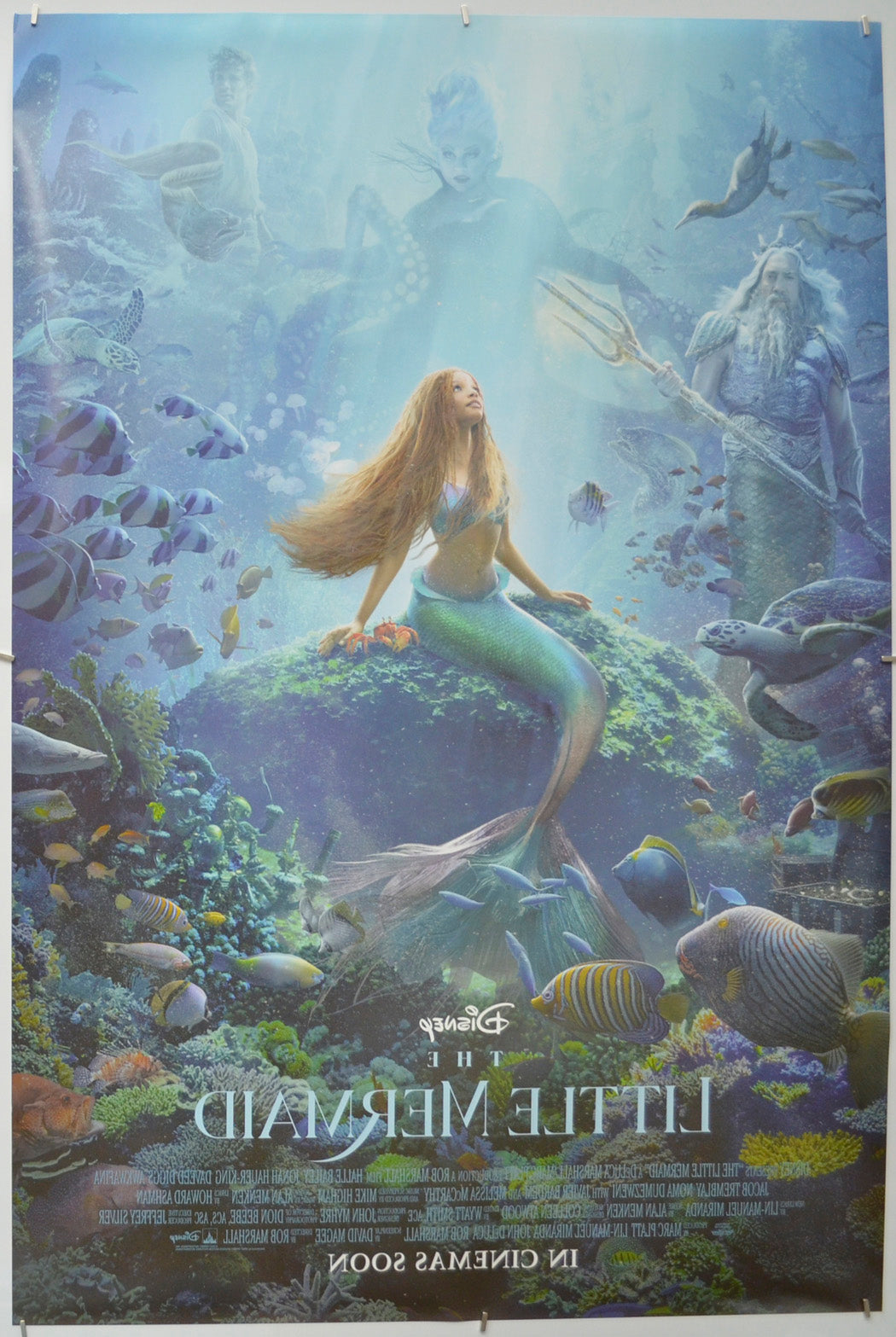 The Little Mermaid (Back) Cinema One Sheet Movie Poster