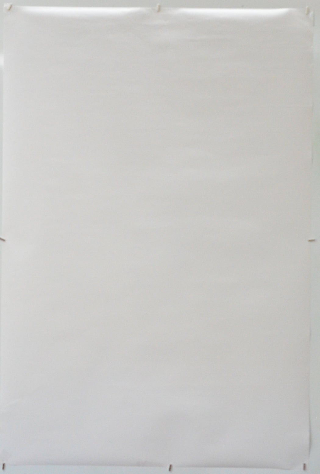 The Penguin Lessons (Back) Cinema One Sheet Movie Poster