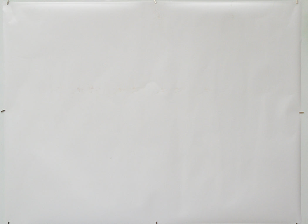 The Penguin Lessons (Back) Cinema Quad Movie Poster