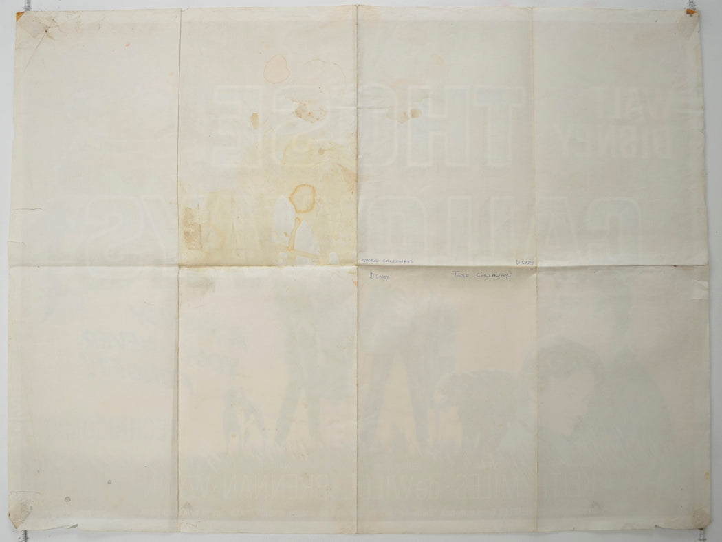 THOSE CALLOWAYS (Back) Cinema Quad Movie Poster