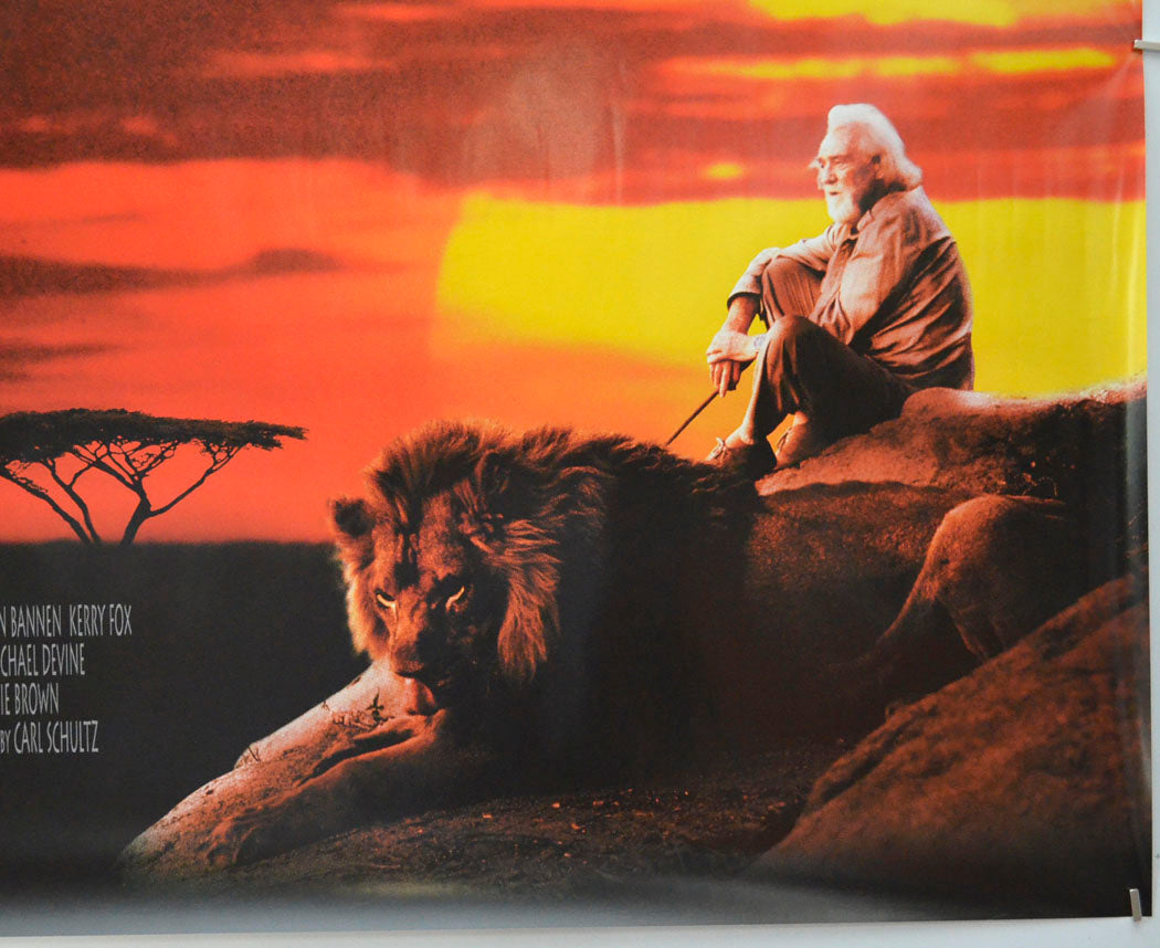 TO WALK WITH LIONS (Bottom Right) Cinema Quad Movie Poster