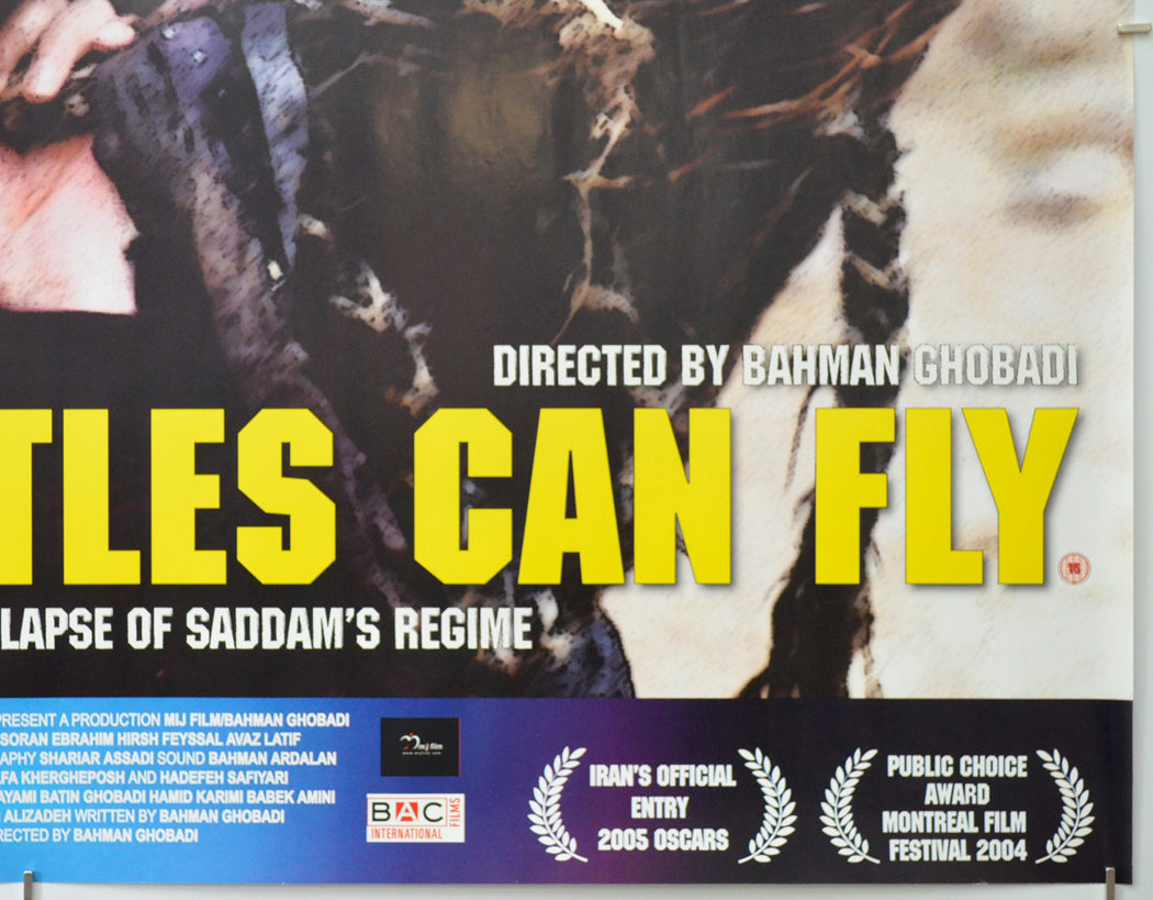 TURTLES CAN FLY (Bottom Right) Cinema Quad Movie Poster